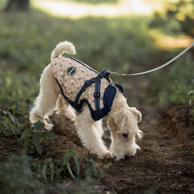 PawPrint Pro Hundejacke