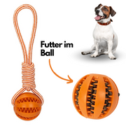 Interaktiver Kauball mit Seil