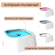 AntiSplash Hundenapf